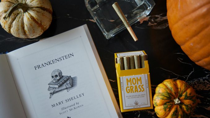 dad-grass-jLaPiMKNoOo-unsplash-2