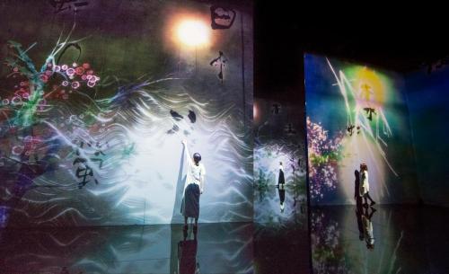 HIGH344164 489636 301980