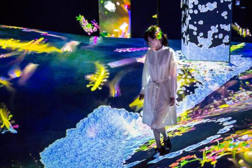 HIGH344164 79349 590092